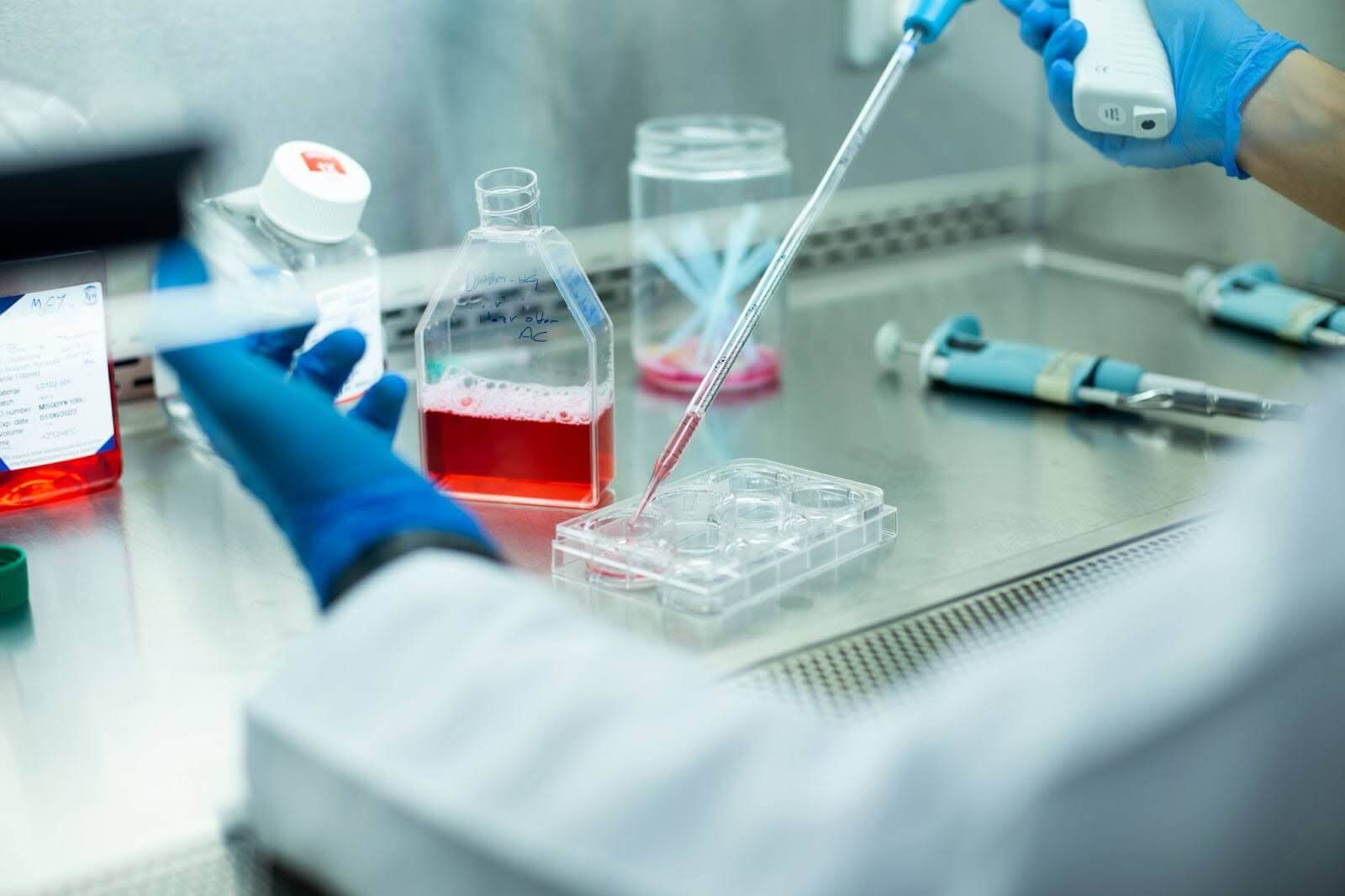 脂肪幹細胞培養療法