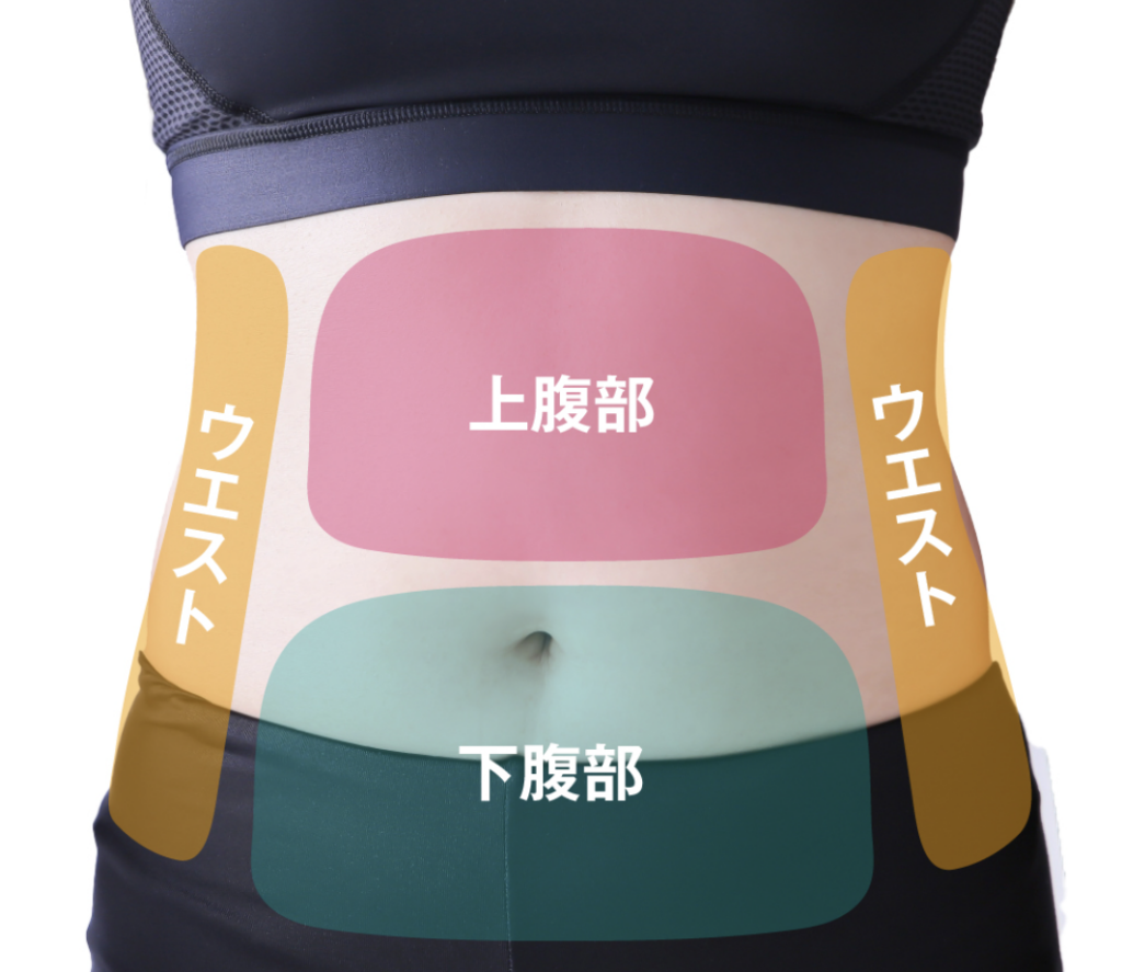 お腹の脂肪吸引