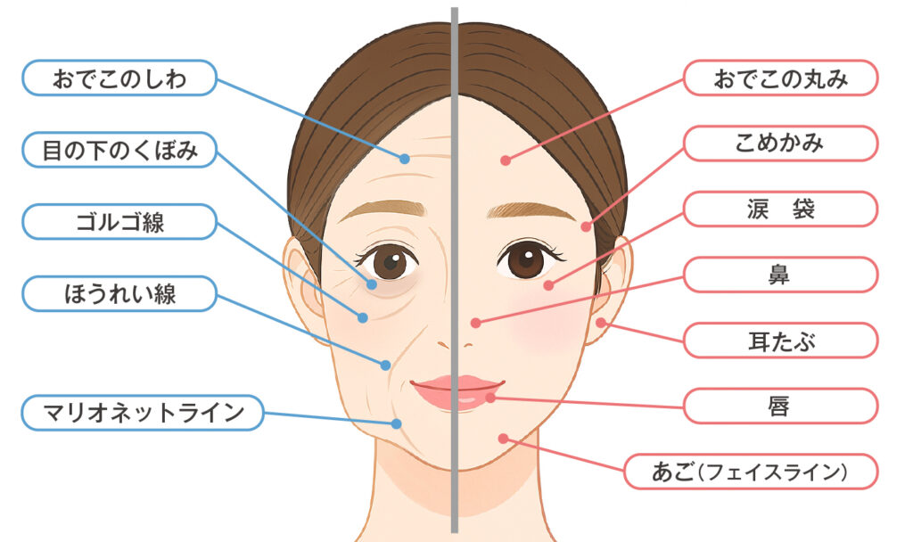 施術可能な範囲