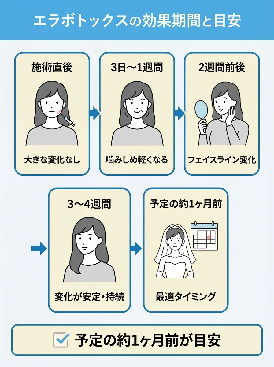 エラボトックスの効果が安定するには約1ヶ月かかる