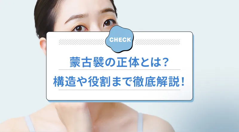 蒙古襞とは?構造や与える印象を解説